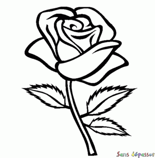 una classe coloring pages of a rose - photo #3