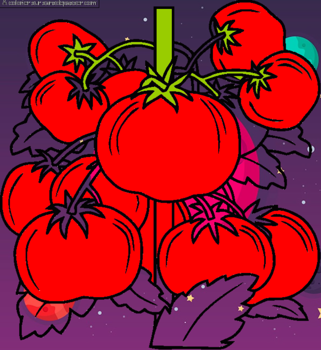 Coloriage Pied de tomates