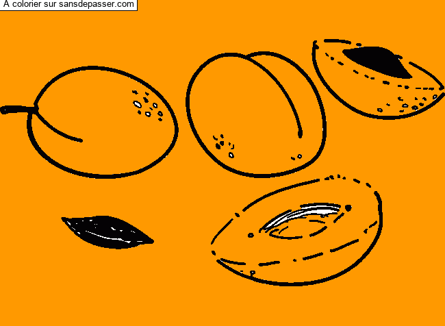 Coloriage Abricots et noyaux par Pinpomme2014