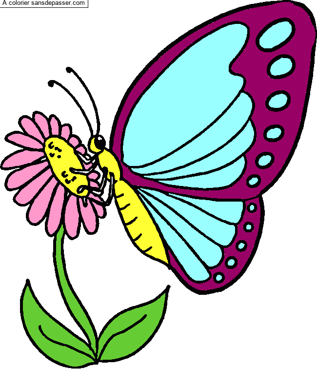 Coloriage Papillon qui butine par un invité