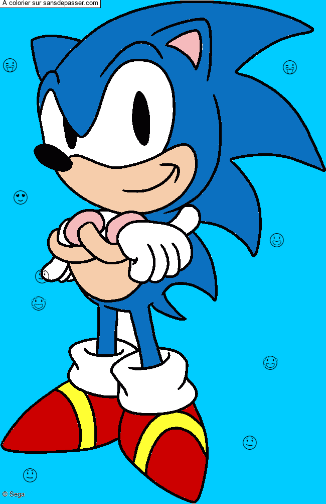 Sonic par un invité
