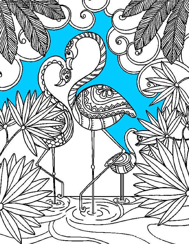 Coloriage Flamant rose