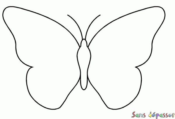 Coloriage Papillon blanc