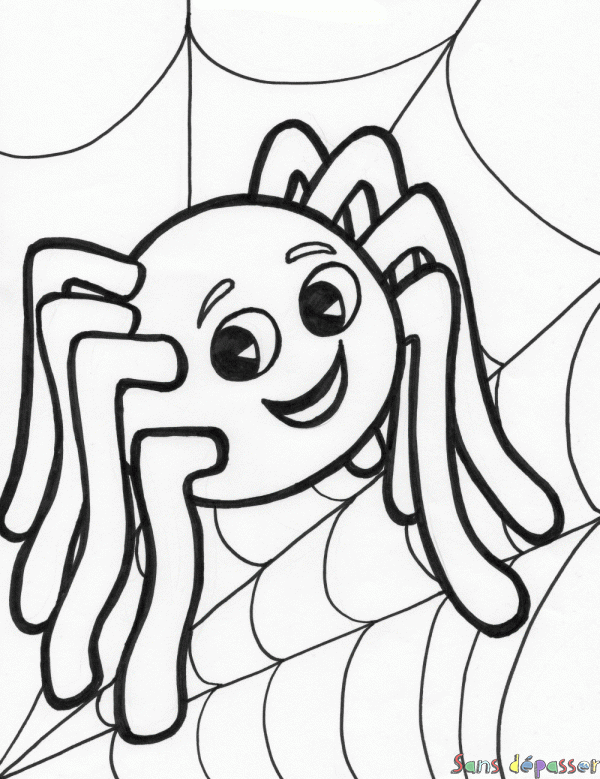 Coloriage Petite araignée sur sa toile