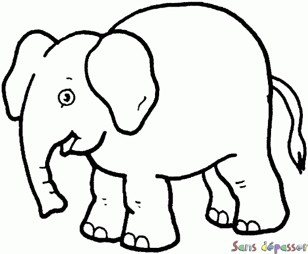 Coloriage Éléphant 1