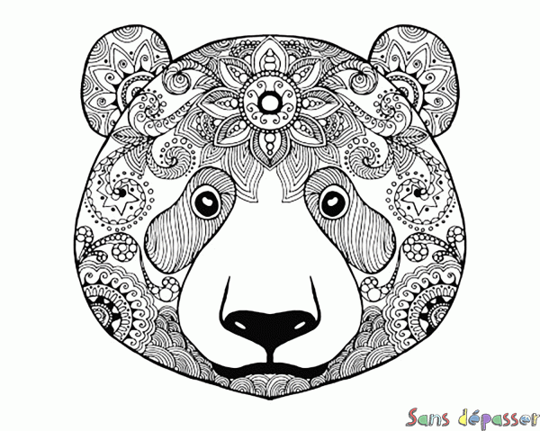 Coloriage Ours doodle