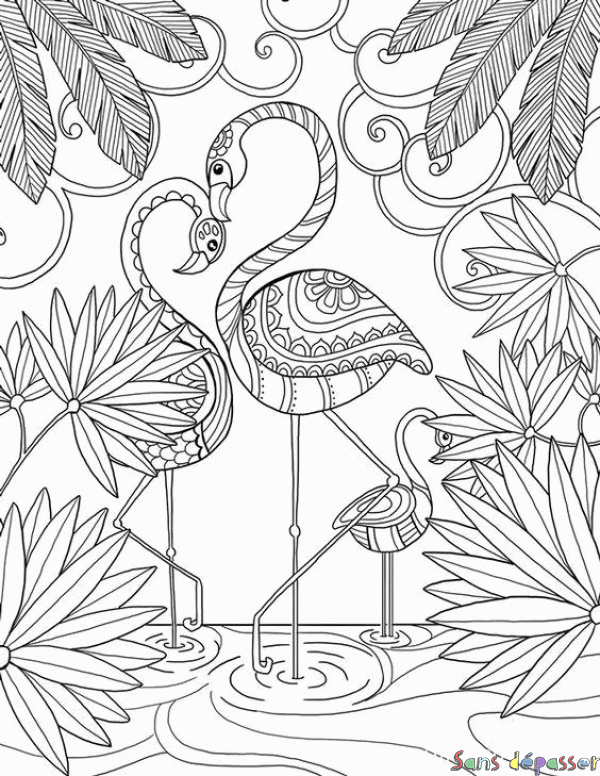 Coloriage Flamant rose