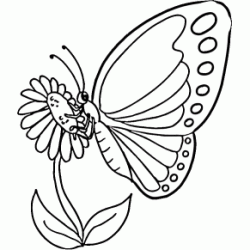 Coloriage Papillon qui butine
