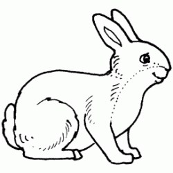 Coloriage Lapin