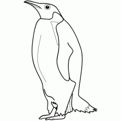 Coloriage Pingouin qui se tient bien droit