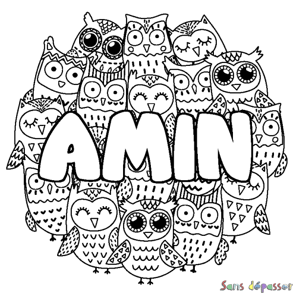 Coloriage pr&eacute;nom AMIN - d&eacute;cor Chouettes