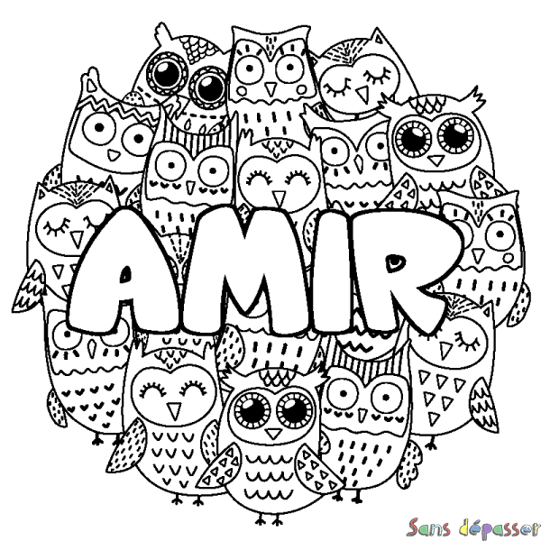 Coloriage pr&eacute;nom AMIR - d&eacute;cor Chouettes