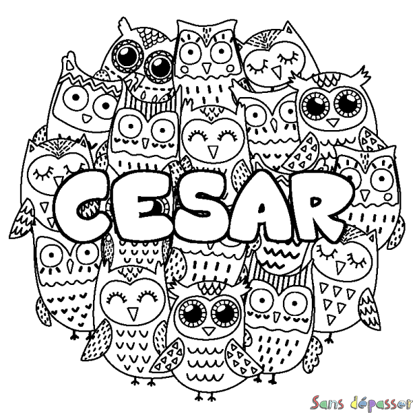 Coloriage prénom CESAR - d&eacute;cor Chouettes