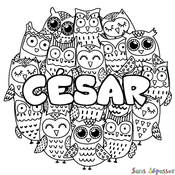 Coloriage pr&eacute;nom C&Eacute;SAR - d&eacute;cor Chouettes
