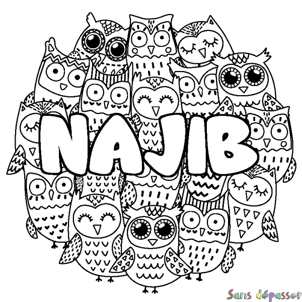 Coloriage pr&eacute;nom NAJIB - d&eacute;cor Chouettes
