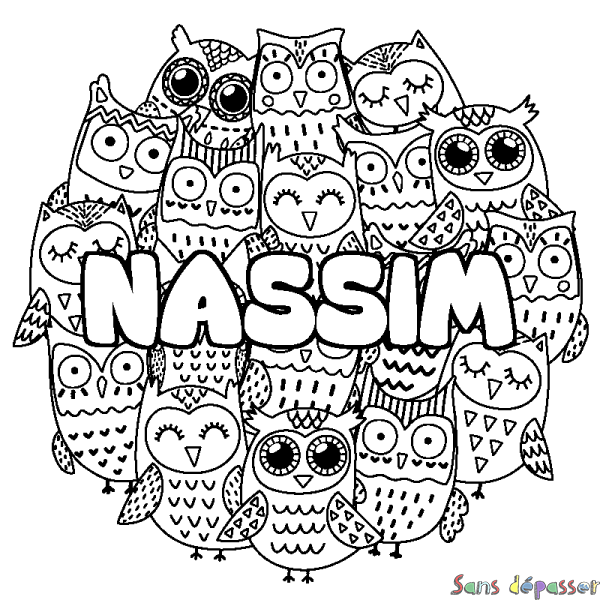 Coloriage prénom NASSIM - d&eacute;cor Chouettes