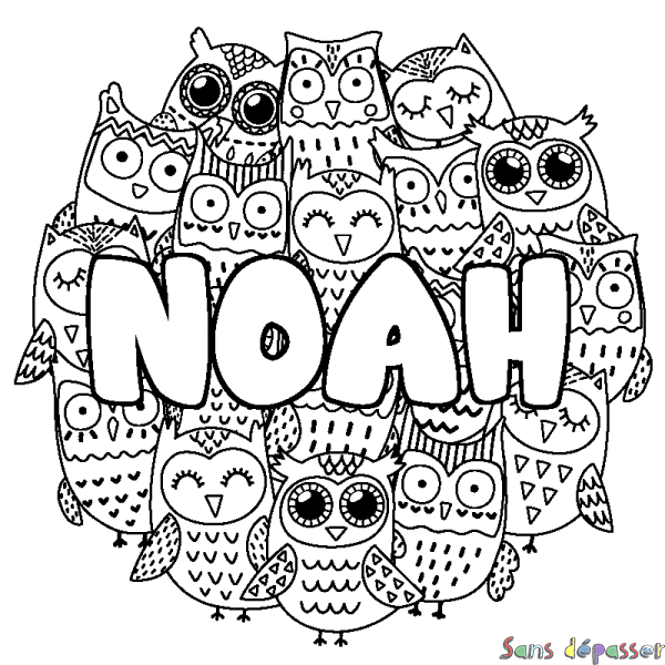 Coloriage pr&eacute;nom NOAH - d&eacute;cor Chouettes