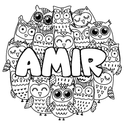 Coloriage prénom AMIR - décor Chouettes