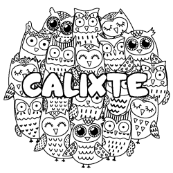 Coloriage pr&eacute;nom CALIXTE - d&eacute;cor Chouettes