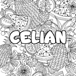 Coloriage CELIAN - d&eacute;cor Mandala fruits