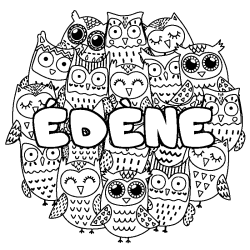 Coloriage pr&eacute;nom &Eacute;D&Egrave;NE - d&eacute;cor Chouettes