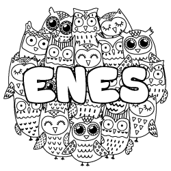 Coloriage pr&eacute;nom ENES - d&eacute;cor Chouettes