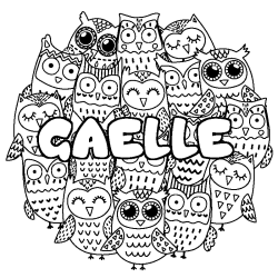 Coloriage pr&eacute;nom GAELLE - d&eacute;cor Chouettes
