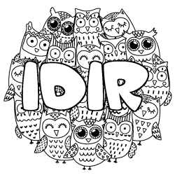 Coloriage pr&eacute;nom IDIR - d&eacute;cor Chouettes