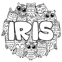 Coloriage pr&eacute;nom IRIS - d&eacute;cor Chouettes