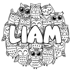 Coloriage pr&eacute;nom LIAM - d&eacute;cor Chouettes