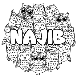 Coloriage prénom NAJIB - décor Chouettes