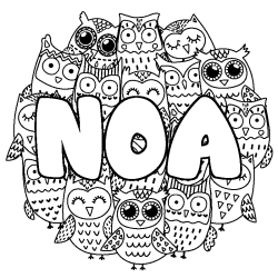 Coloriage pr&eacute;nom NOA - d&eacute;cor Chouettes