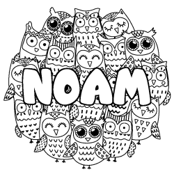 Coloriage prénom NOAM - décor Chouettes