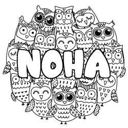Coloriage pr&eacute;nom NOHA - d&eacute;cor Chouettes