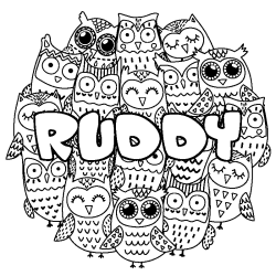 Coloriage pr&eacute;nom RUDDY - d&eacute;cor Chouettes