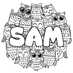 Coloriage SAM - d&eacute;cor Chouettes