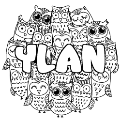 Coloriage pr&eacute;nom YLAN - d&eacute;cor Chouettes