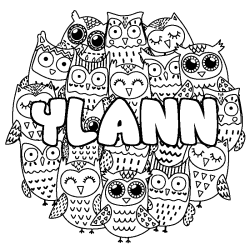 Coloriage YLANN - d&eacute;cor Chouettes