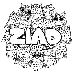 Coloriage prénom ZIAD - décor Chouettes