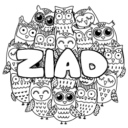 Coloriage pr&eacute;nom ZIAD - d&eacute;cor Chouettes