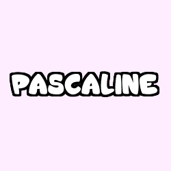 PASCALINE