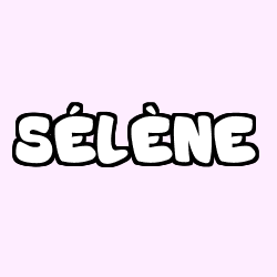 S&Eacute;L&Egrave;NE