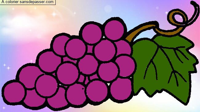 Coloriage Raisin et feuille de vigne par un invité