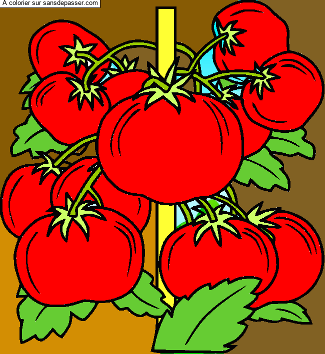 Coloriage Pied de tomates par un invité