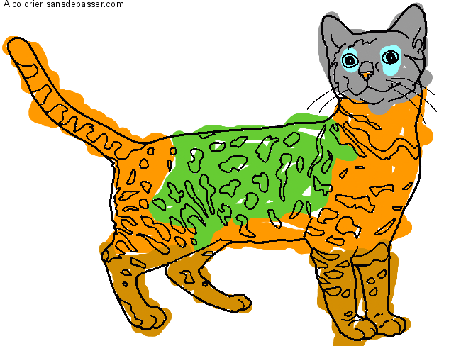 Coloriage Chat Bengal