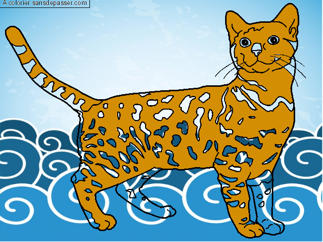Coloriage Chat Bengal