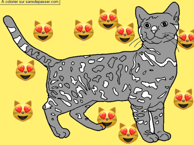 Chat Bengal par un invit&eacute;