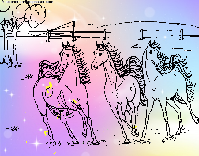 Chevaux dans la prairie par un invit&eacute;