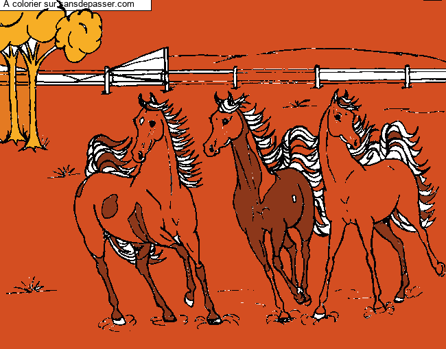 Chevaux dans la prairie par un invit&eacute;