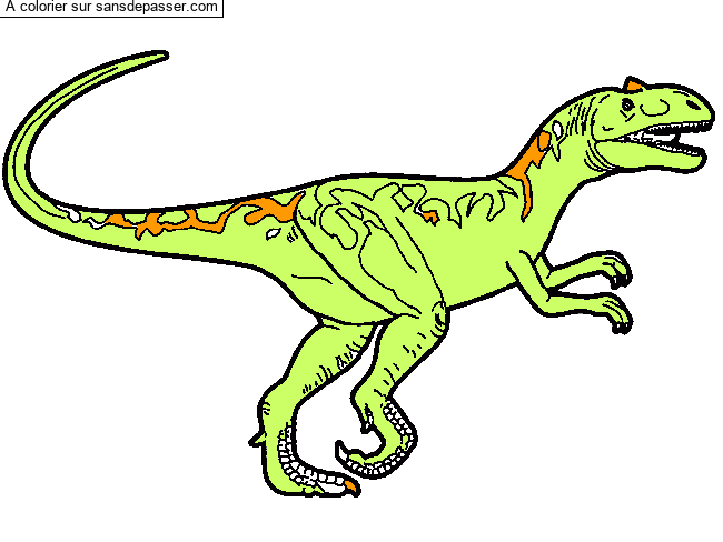 Allosaurus par un invit&eacute;